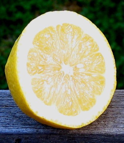 lemon_small.jpg