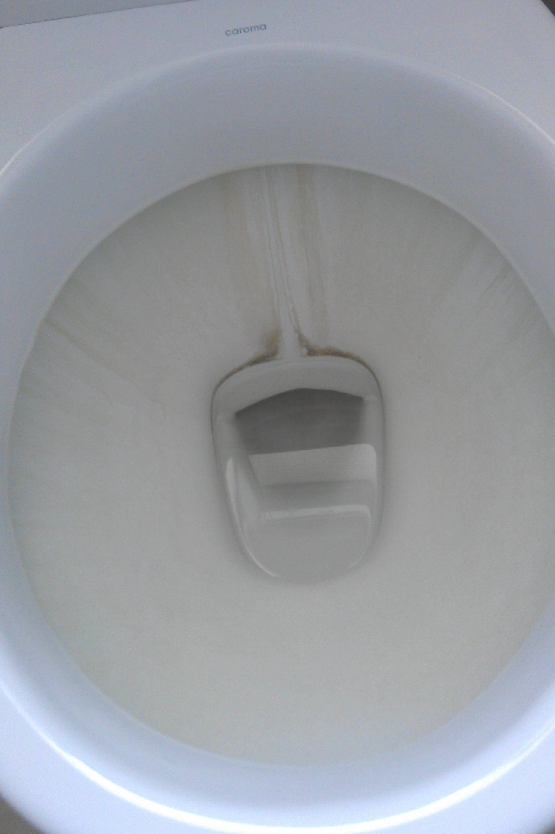 Cleaning stubborn water stains from a toilet  Rhonda Bracey: At
